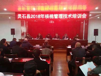 围绕主导产业，开展精准技术培训，赋能乡镇经济高质量发展