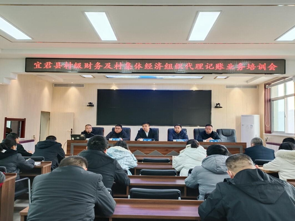 强化村级财务代理记账能力 助力镇域经济高质量发展
