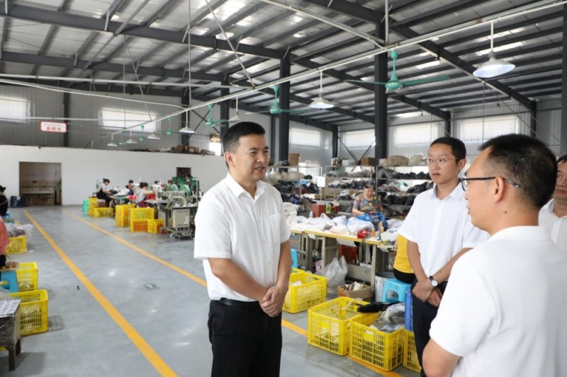 激发基层活力 共绘发展新篇——奉节县委副书记巩义胜调研乡镇产业发展侧记